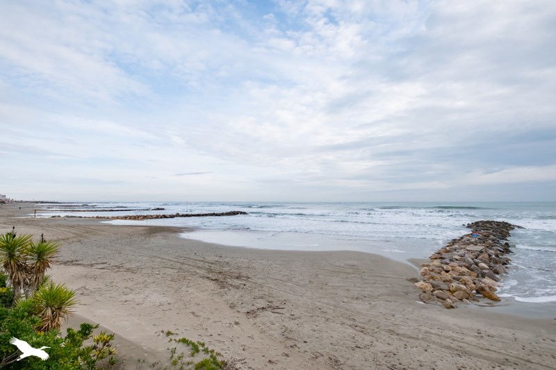 Vente Appartement PALAVAS LES FLOTS - 2 pièces -34,8 m² - (34250)