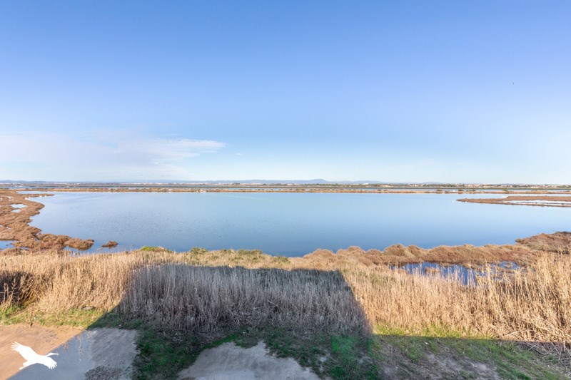 Vente Appartement PALAVAS LES FLOTS - 1 pièce -22 m² - (34250)