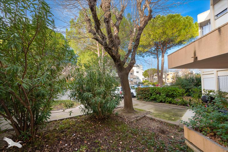 Vente Appartement MONTPELLIER - 3 pièces -70 m² - (34080)
