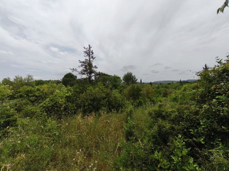 Vente Terrain ST GEORGES D ORQUES - -3690 m² - (34680)