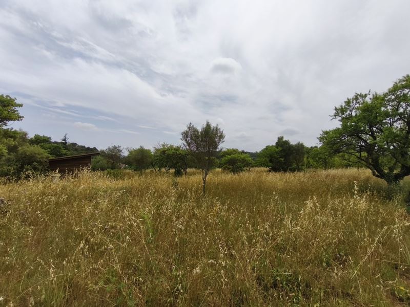 Vente Terrain ST GEORGES D ORQUES - -3690 m² - (34680)