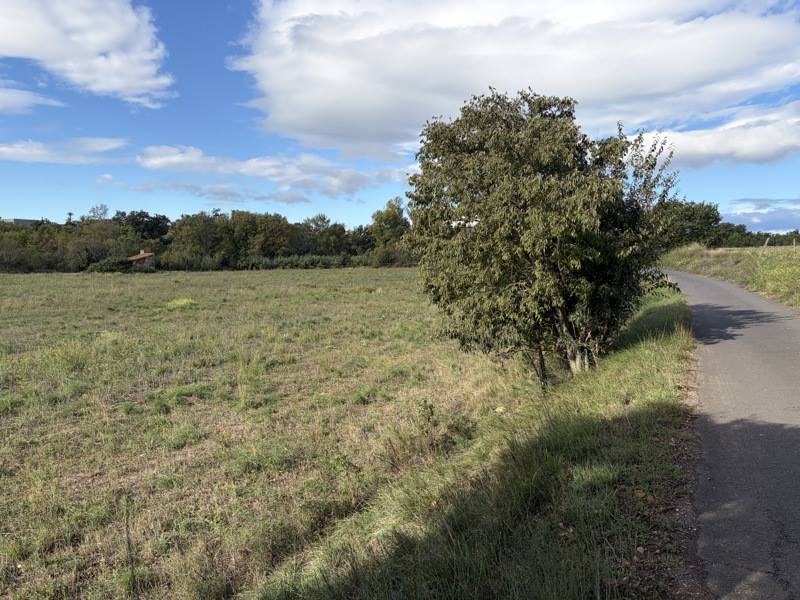 Vente Terrain Roujan - -23490 m² - (34320)