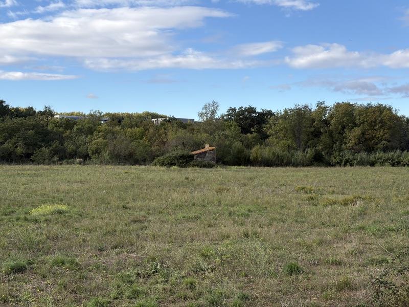 Vente Terrain Roujan - -23490 m² - (34320)