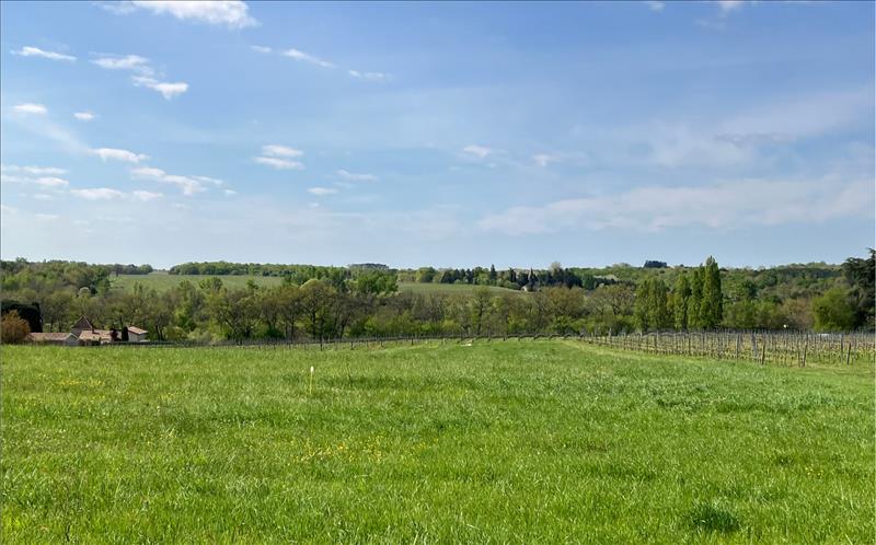 Vente Terrain PELLEGRUE - -1500 m² - (33790)