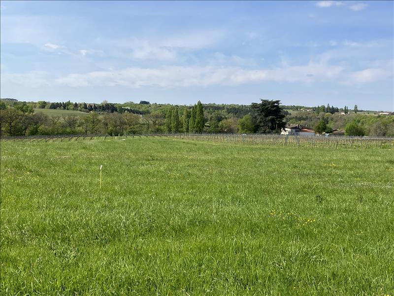 Vente Terrain PELLEGRUE - -1500 m² - (33790)