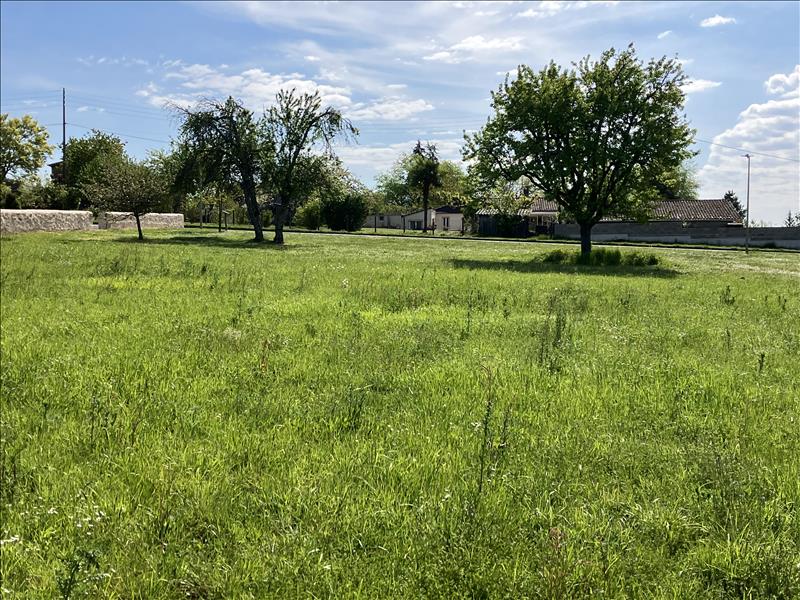 Vente Terrain PELLEGRUE - -1500 m² - (33790)