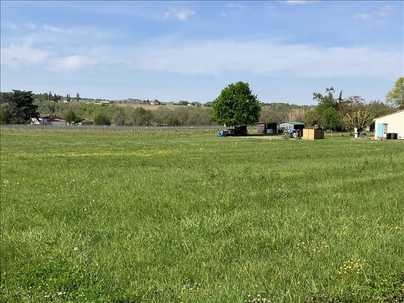 Vente Terrain PELLEGRUE - -1500 m² - (33790)