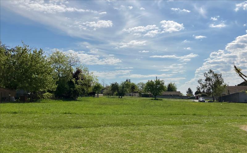 Vente Terrain PELLEGRUE - -1106 m² - (33790)