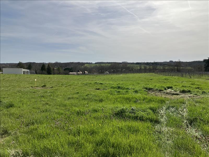 Vente Terrain PELLEGRUE - -1106 m² - (33790)