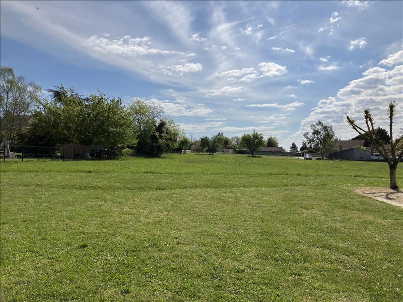 Vente Terrain PELLEGRUE - -1106 m² - (33790)