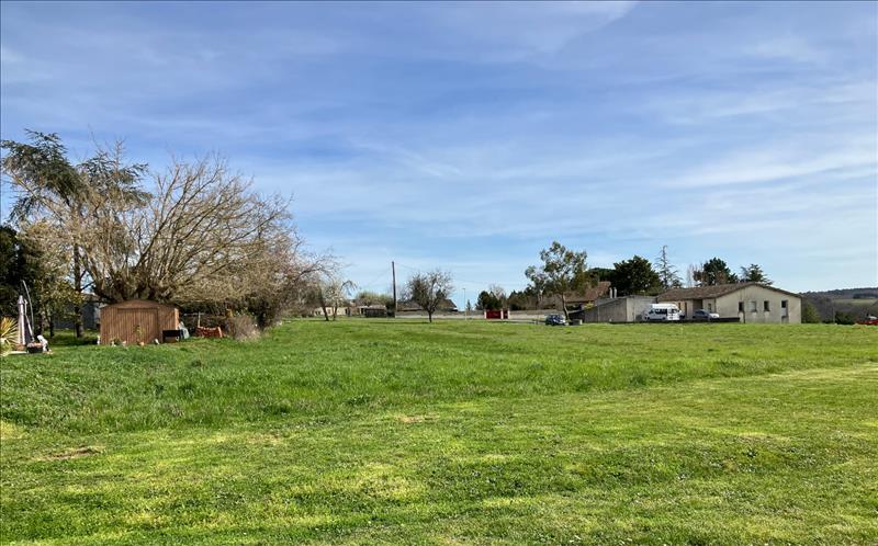 Vente Terrain PELLEGRUE - -1105 m² - (33790)