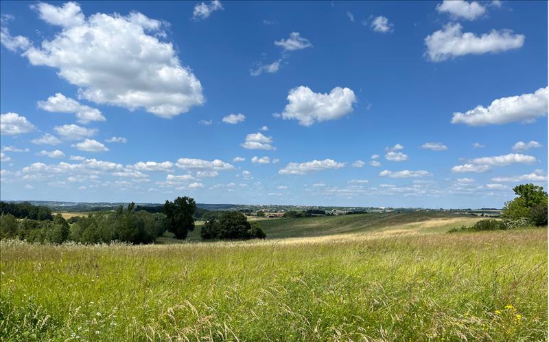 Vente Terrain LEVIGNAC DE GUYENNE - -4397 m² - (47120)