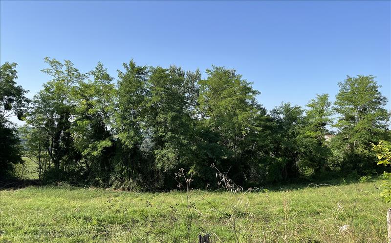 Vente Terrain DIEULIVOL - -4188 m² - (33580)