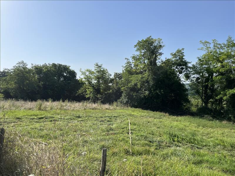 Vente Terrain DIEULIVOL - -4188 m² - (33580)