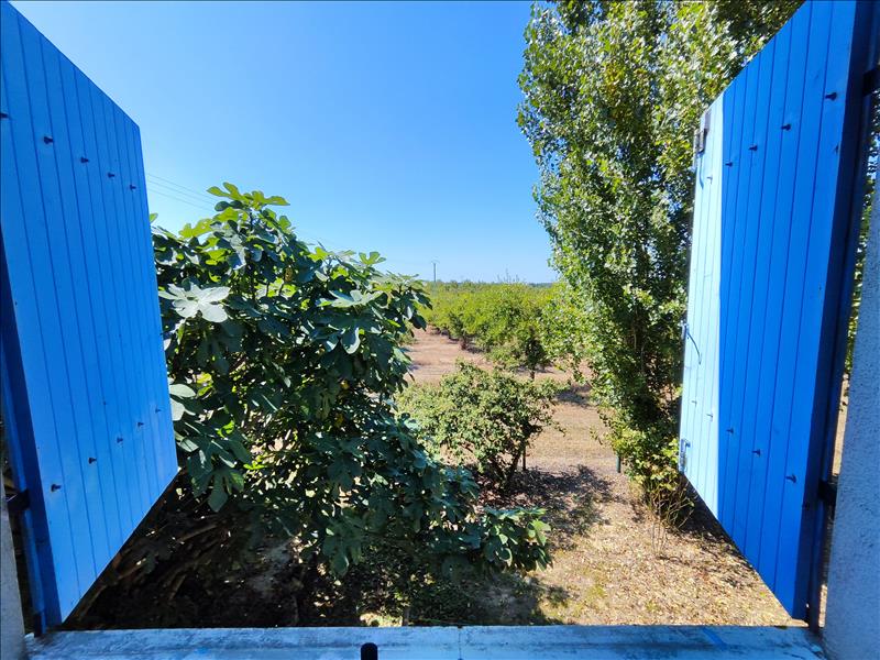 Vente Maison PARDAILLAN - 5 pièces -127 m² - (47120)