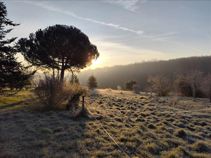 Vente Grange LEVIGNAC DE GUYENNE - 1 pièce - - (47120)