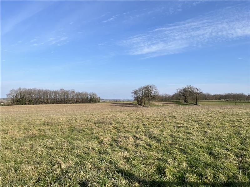 Vente Maison ALLEMANS DU DROPT - 6 pièces -176 m² - (47800)