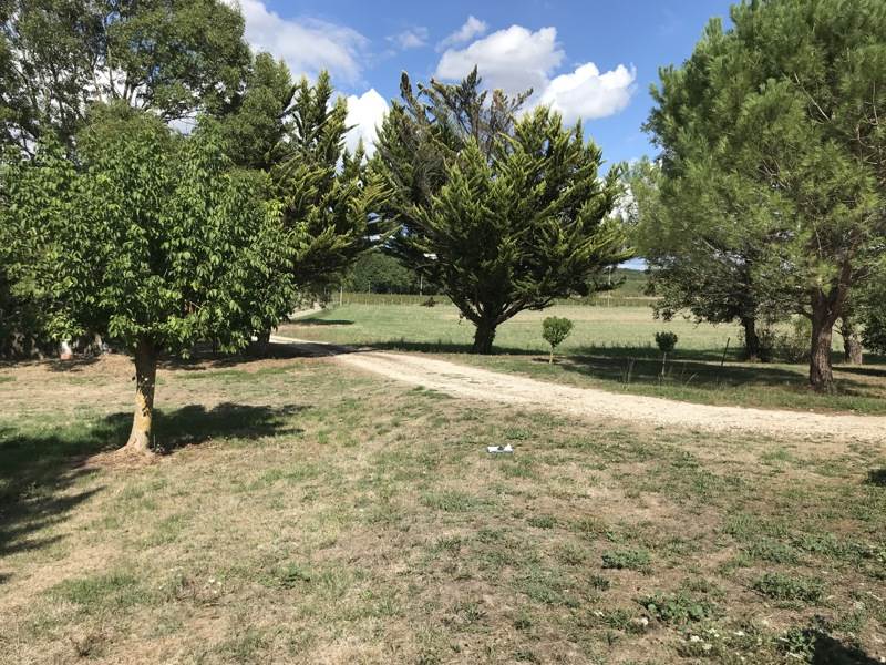 Vente Maison ESCLOTTES - 5 pièces -131 m² - (47120)