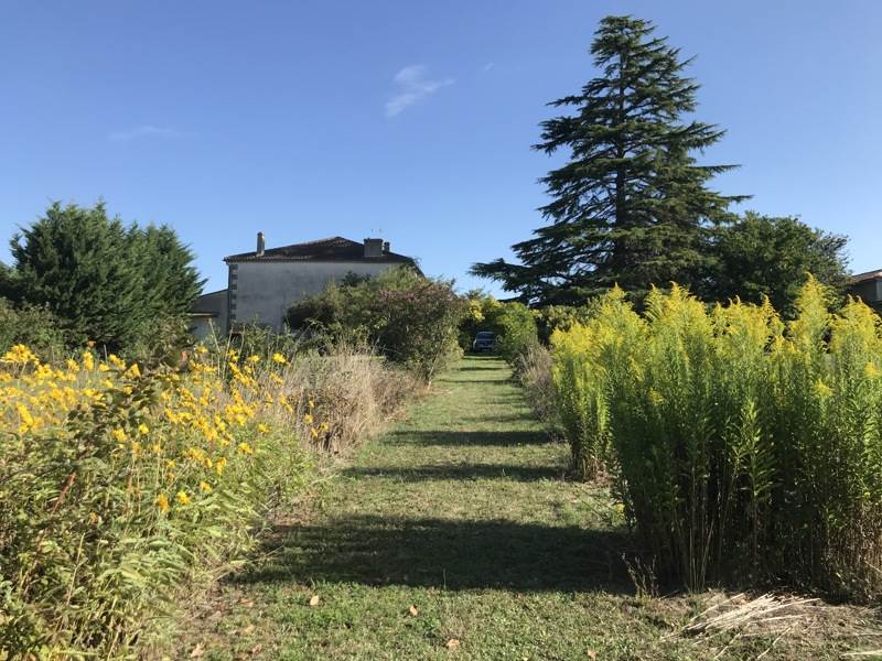 Vente Maison LEVIGNAC DE GUYENNE - 6 pièces -171 m² - (47120)