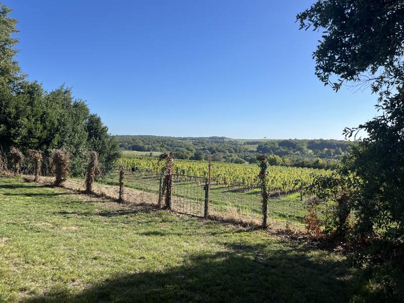 Vente Maison PELLEGRUE - 5 pièces -123 m² - (33790)