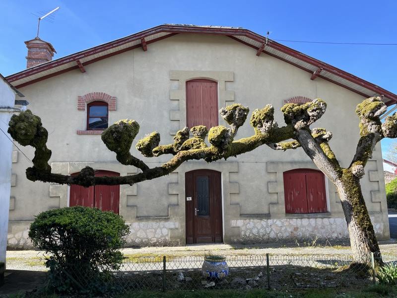 Vente Maison ST PIERRE SUR DROPT - 11 pièces -217 m² - (47120)