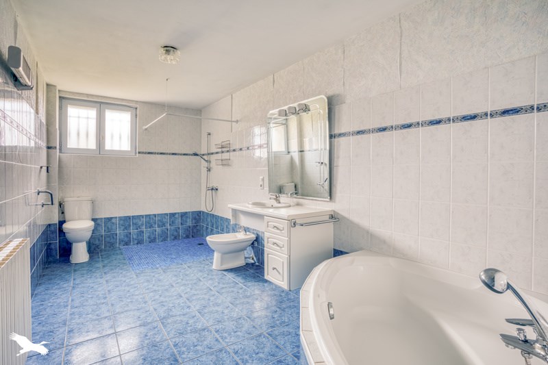 Vente Maison LEVIGNAC DE GUYENNE - 7 pièces -224 m² - (47120)