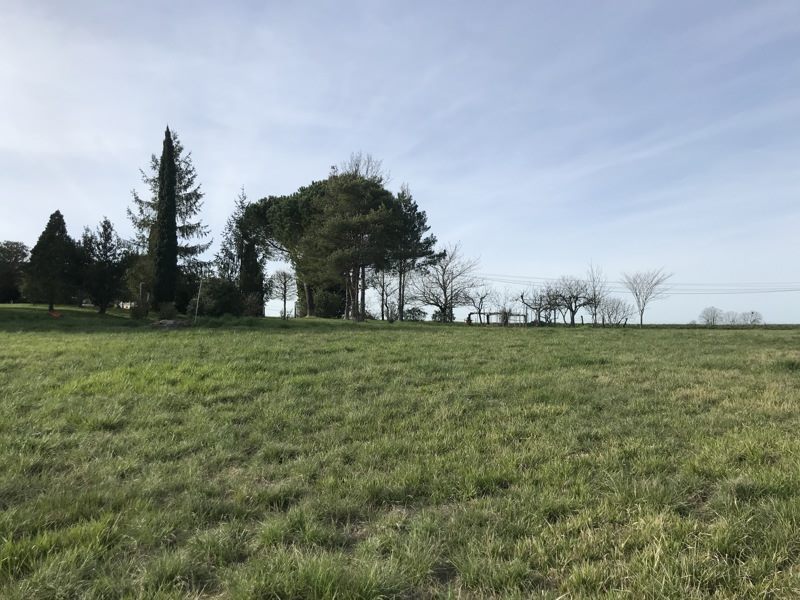 Vente Terrain DURAS - -1500 m² - (47120)