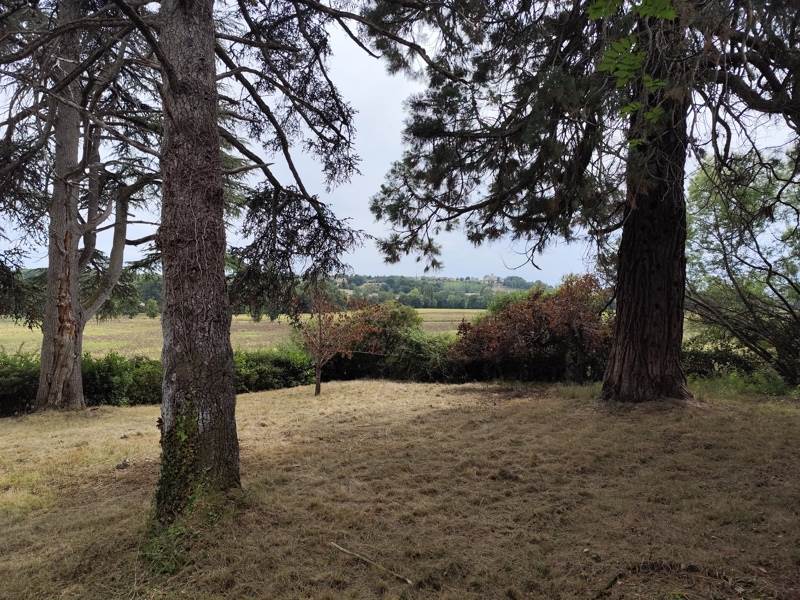 Vente Maison Savignac-de-Duras - 6 pièces -160 m² - (47120)