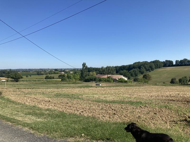 Vente Maison Lévignac-de-Guyenne - 5 pièces -200 m² - (47120)