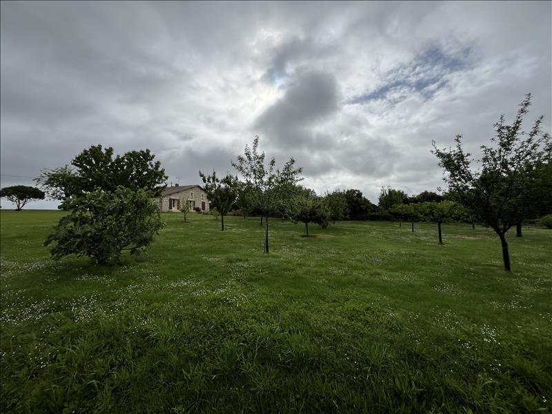 Vente Terrain LAVERGNE - -2109 m² - (47800)