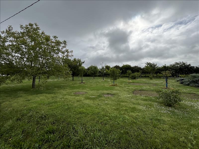 Vente Terrain LAVERGNE - -2109 m² - (47800)