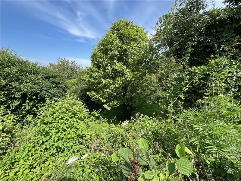 Vente Maison MONBAHUS - 5 pièces -75 m² - (47290)