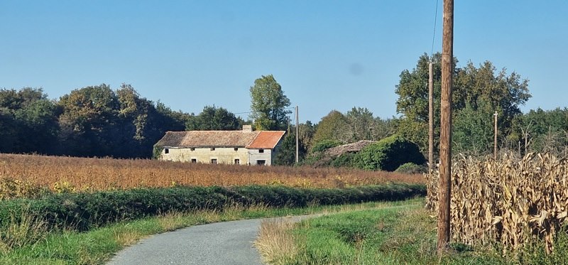 Vente Maison MIRAMONT DE GUYENNE - 3 pièces -90 m² - (47800)