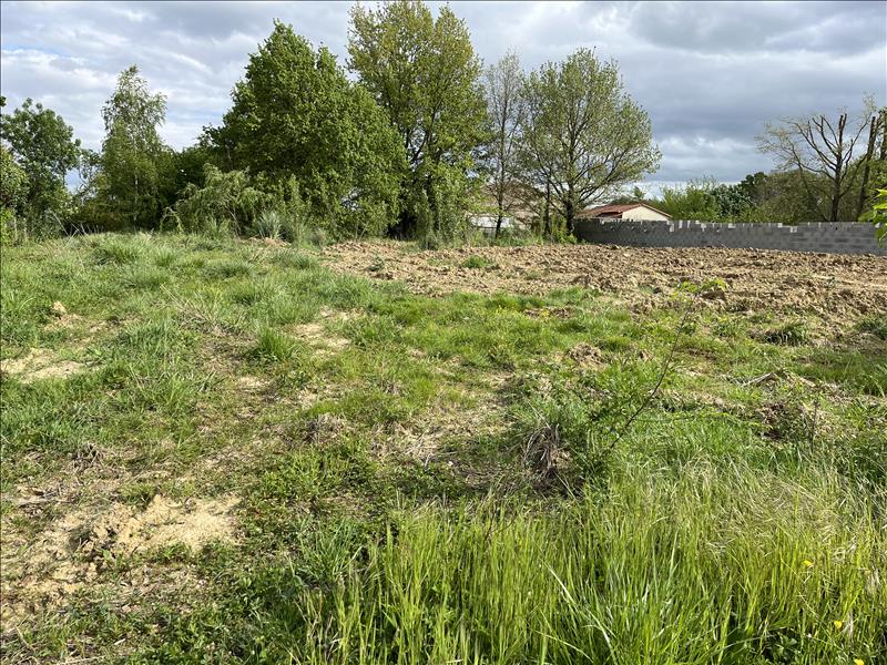 Vente Terrain GRAZAC - -670 m² - (31190)