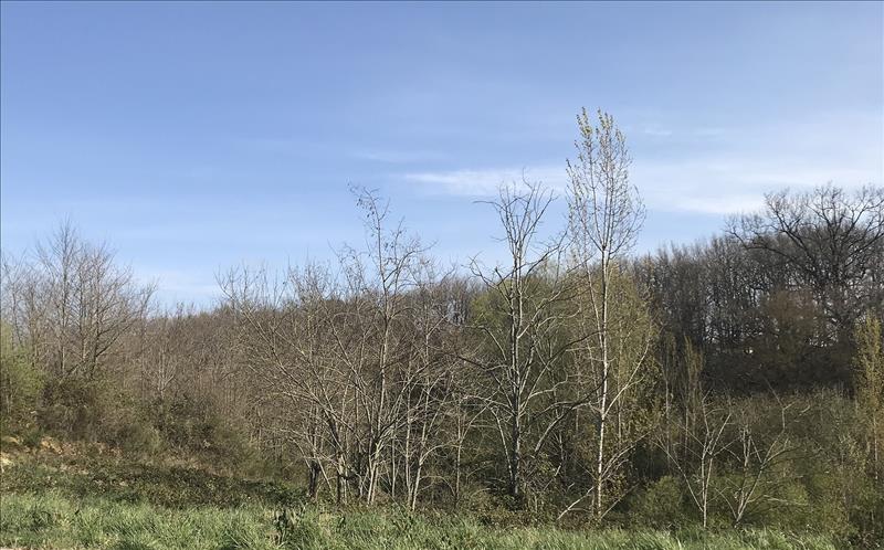 Vente Terrain GRAZAC - -896 m² - (31190)