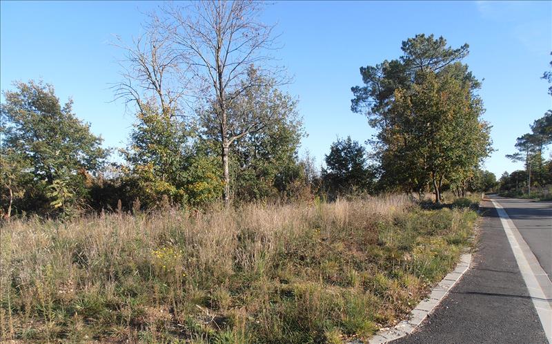 Vente Terrain GRAZAC - -363 m² - (31190)