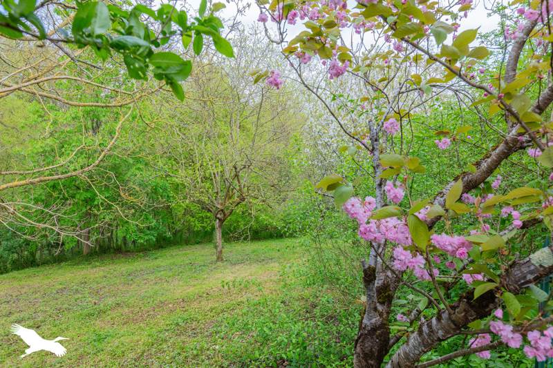 Vente Maison AUTERIVE - 5 pièces -130 m² - (31190)