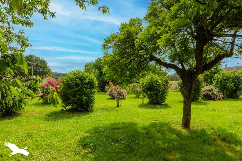 Vente Maison AUTERIVE - 6 pièces -170 m² - (31190)