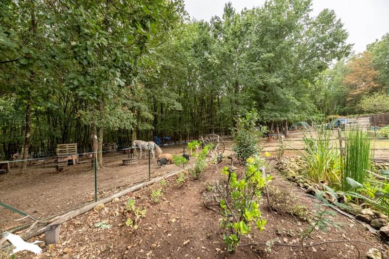 Vente Maison Agonac - 6 pièces -137 m² - (24460)
