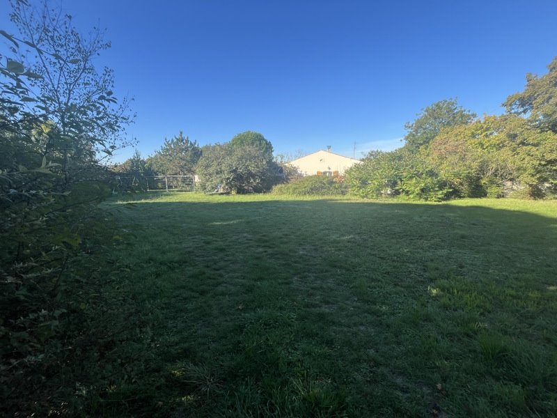 Vente Terrain ASNIERES LA GIRAUD - -1256 m² - (17400)