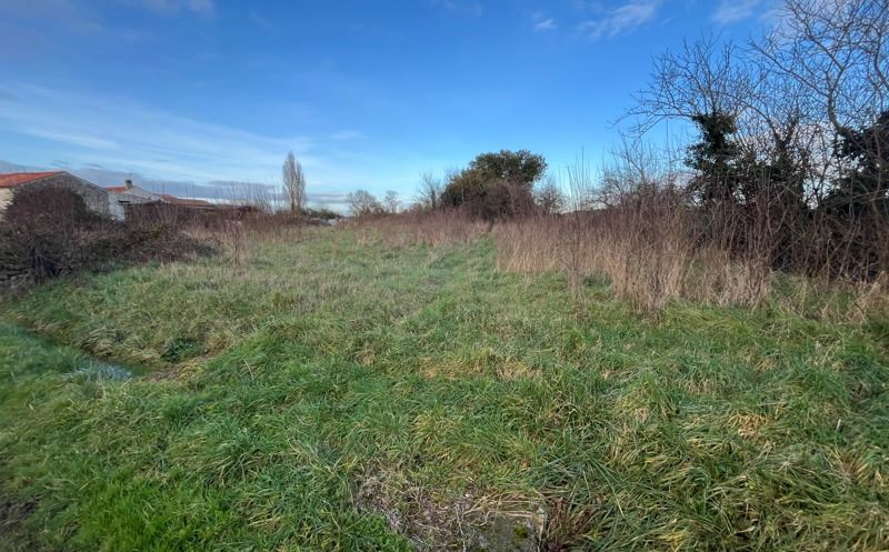 Terrain 4 pièces 1390 m²