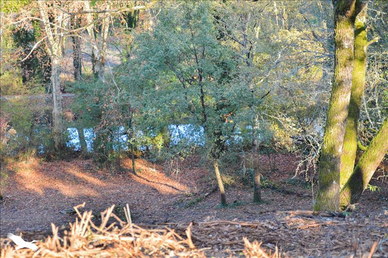 Vente Maison DAMAZAN - 5 pièces -138 m² - (47160)