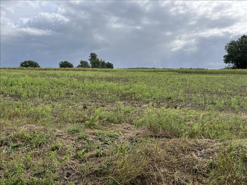 Vente Terrain CAUBEYRES - -3154 m² - (47160)