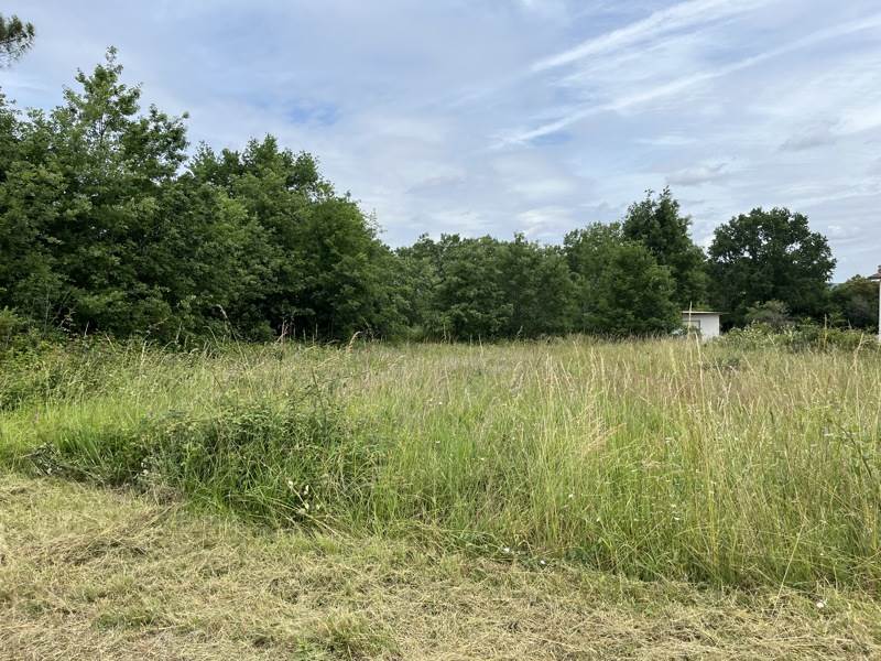 Vente Terrain CASTELJALOUX - -3030 m² - (47700)