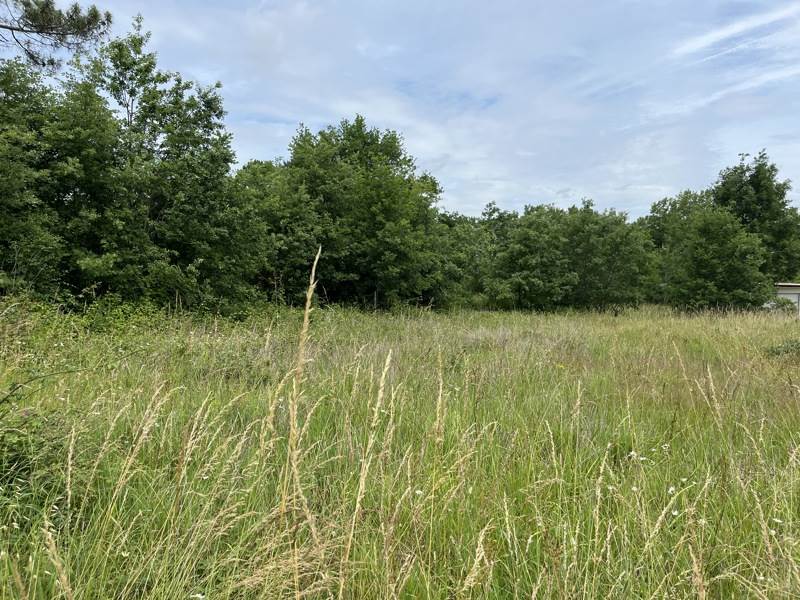 Vente Terrain CASTELJALOUX - -3030 m² - (47700)