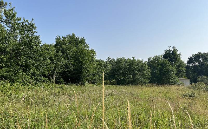 Vente Terrain CASTELJALOUX - -3030 m² - (47700)