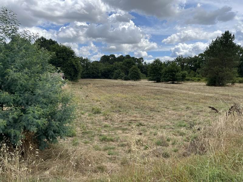 Vente Terrain CASTELJALOUX - -6510 m² - (47700)