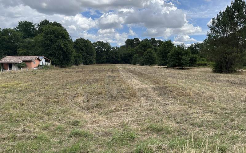 Vente Terrain CASTELJALOUX - -6510 m² - (47700)