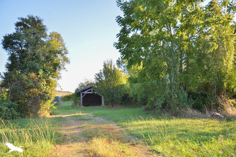 Vente Maison LABASTIDE CASTEL AMOUROUX - 5 pièces -134 m² - (47250)