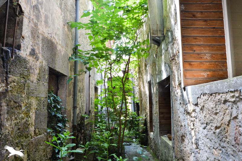 Vente Immeuble Casteljaloux - -  142 m² - (47700)